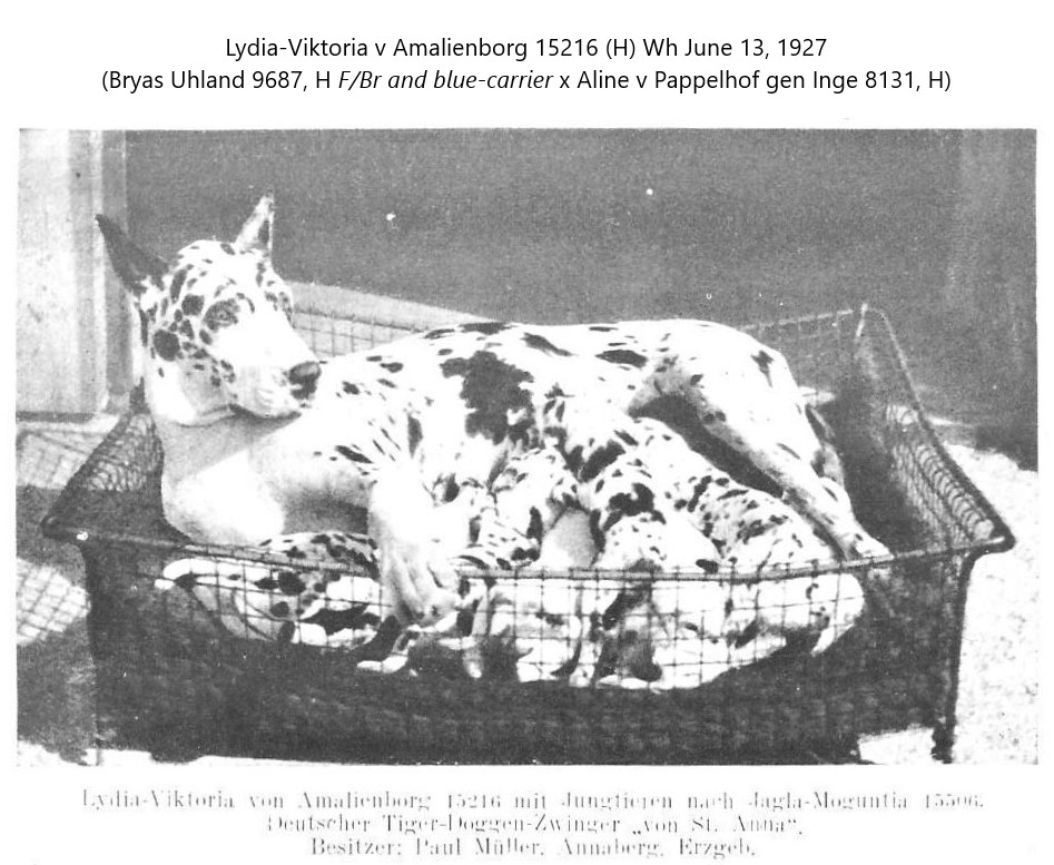 Lydia-Viktoria von Amalienborg